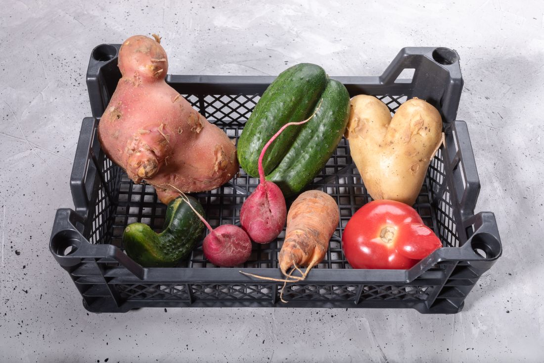 Social Economic Development Web Portal