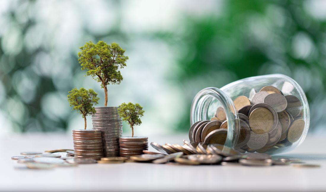 Social Economic Development Web Portal