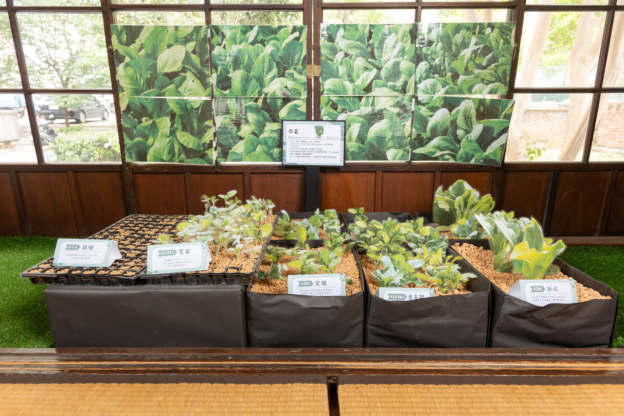 Social Economic Development Web Portal