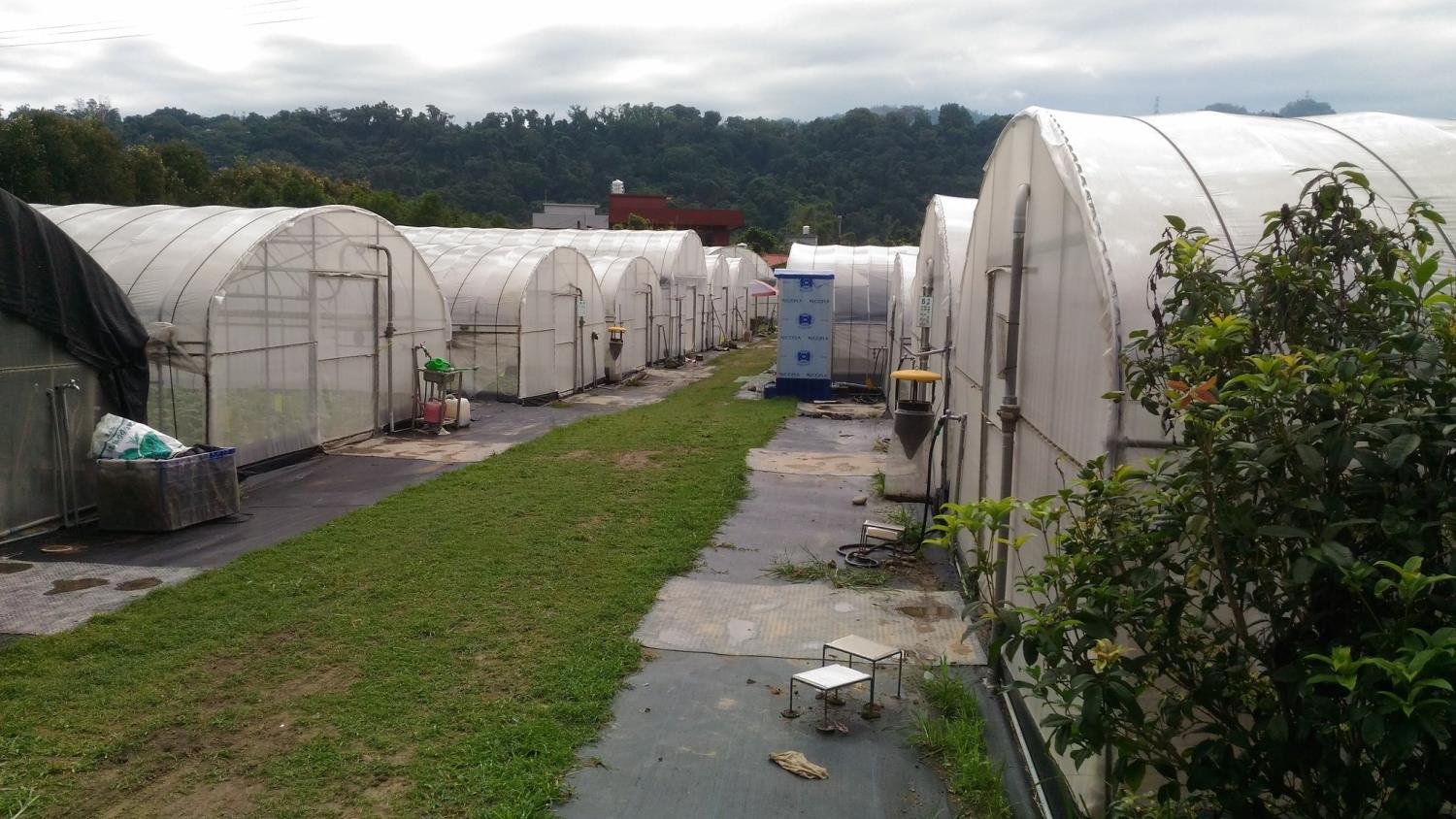 Social Economic Development Web Portal