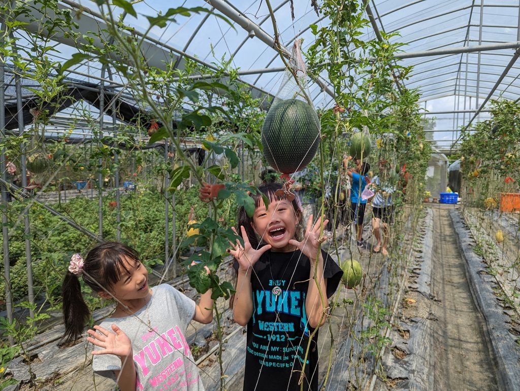 Social Economic Development Web Portal