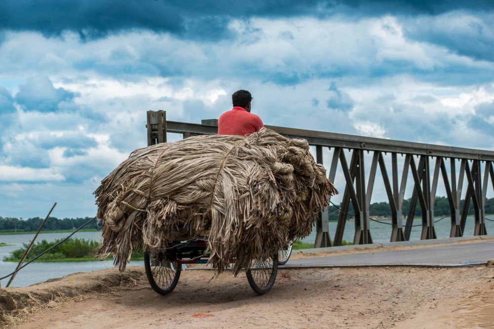 Social Economic Development Web Portal