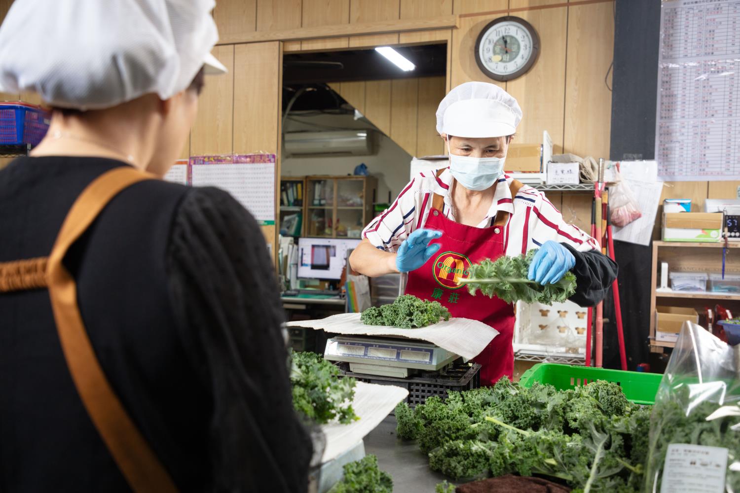 Social Economic Development Web Portal