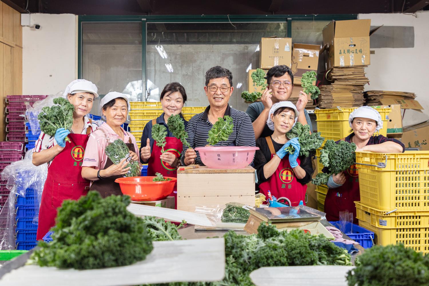 Social Economic Development Web Portal