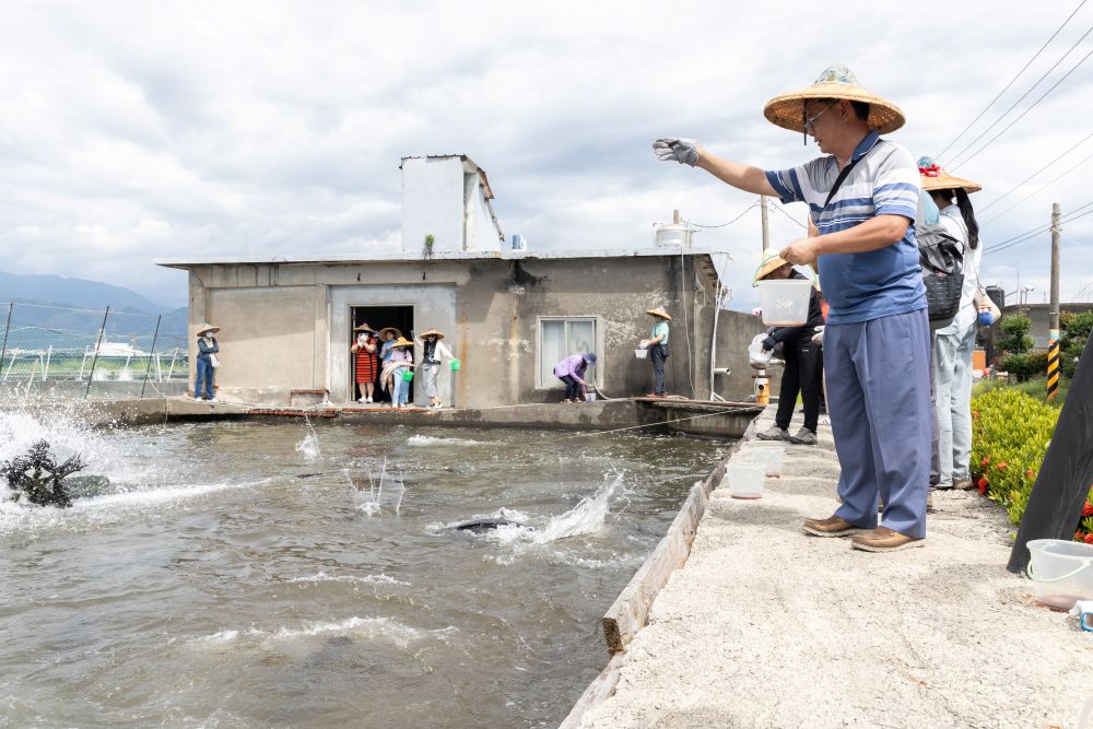 Social Economic Development Web Portal