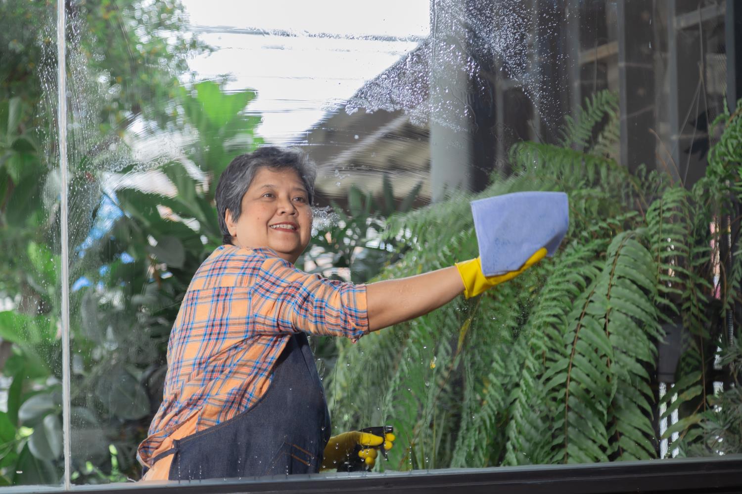 Social Economic Development Web Portal