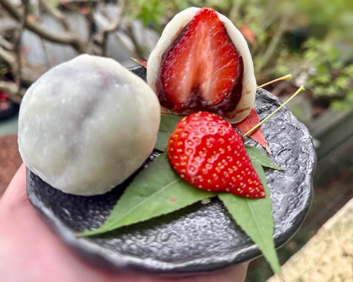 社會經濟入口網