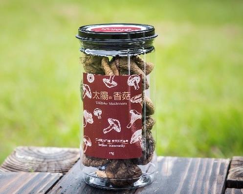 社會經濟入口網