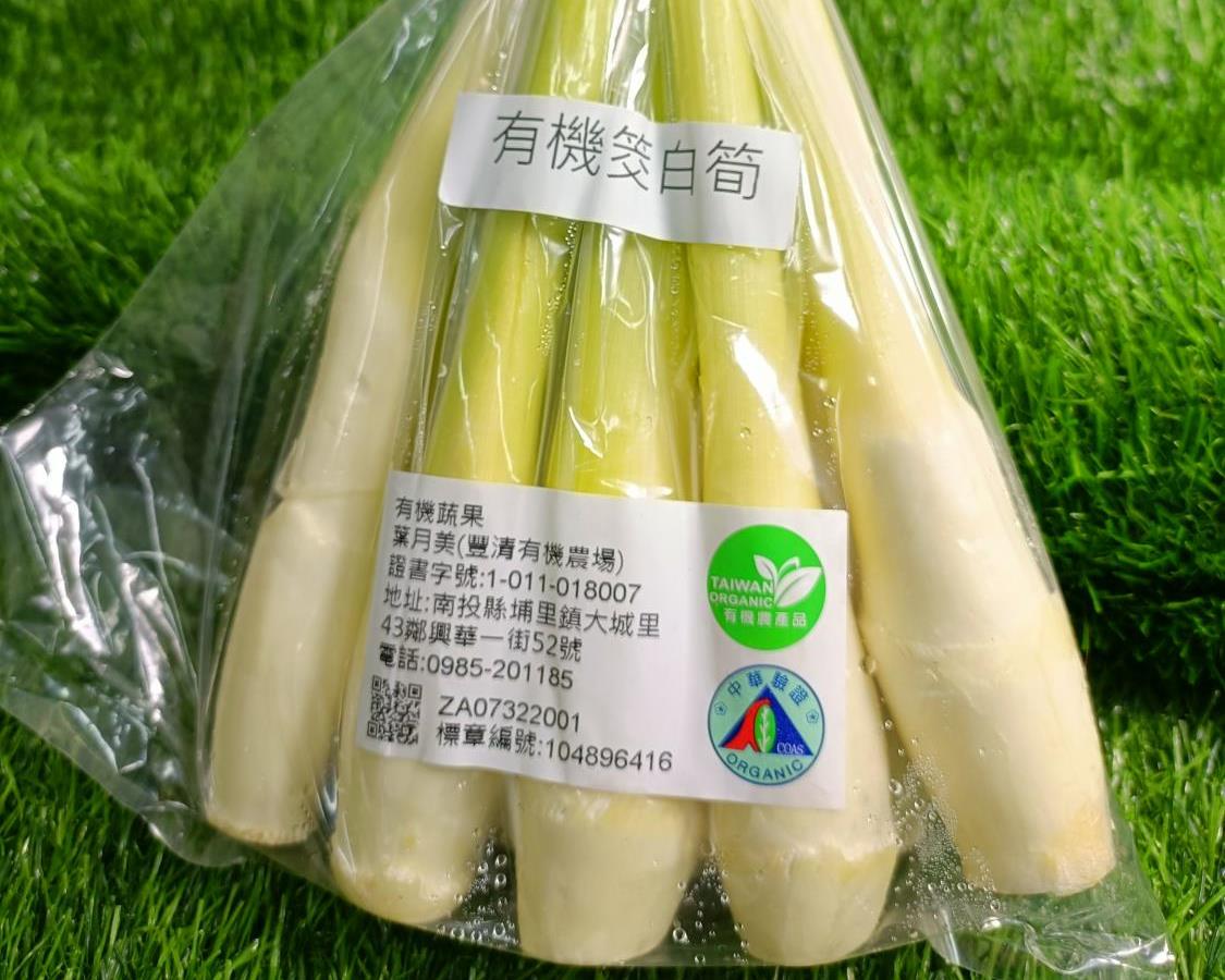社會經濟入口網