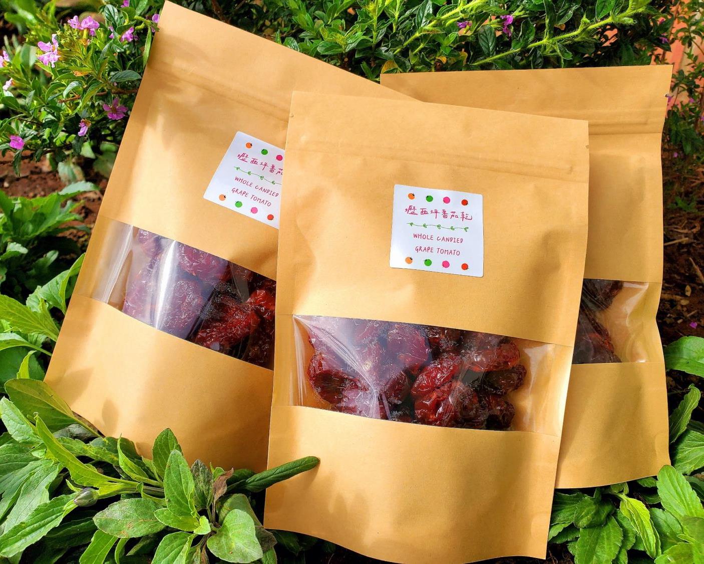 社會經濟入口網