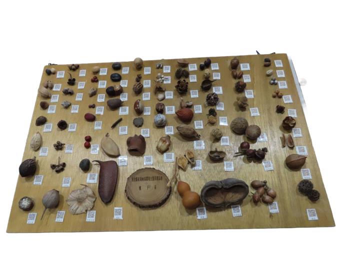 社會經濟入口網