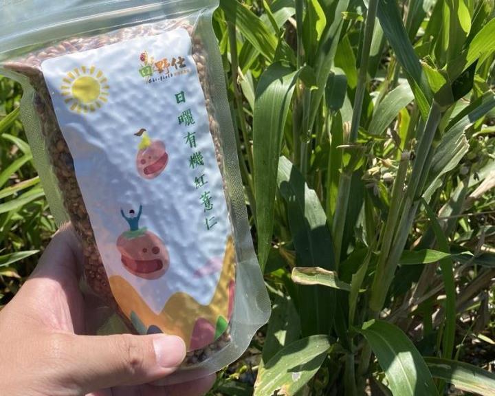 社會經濟入口網