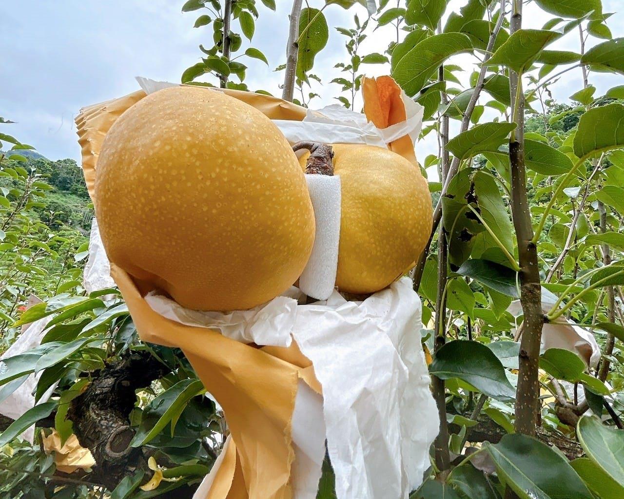 社會經濟入口網