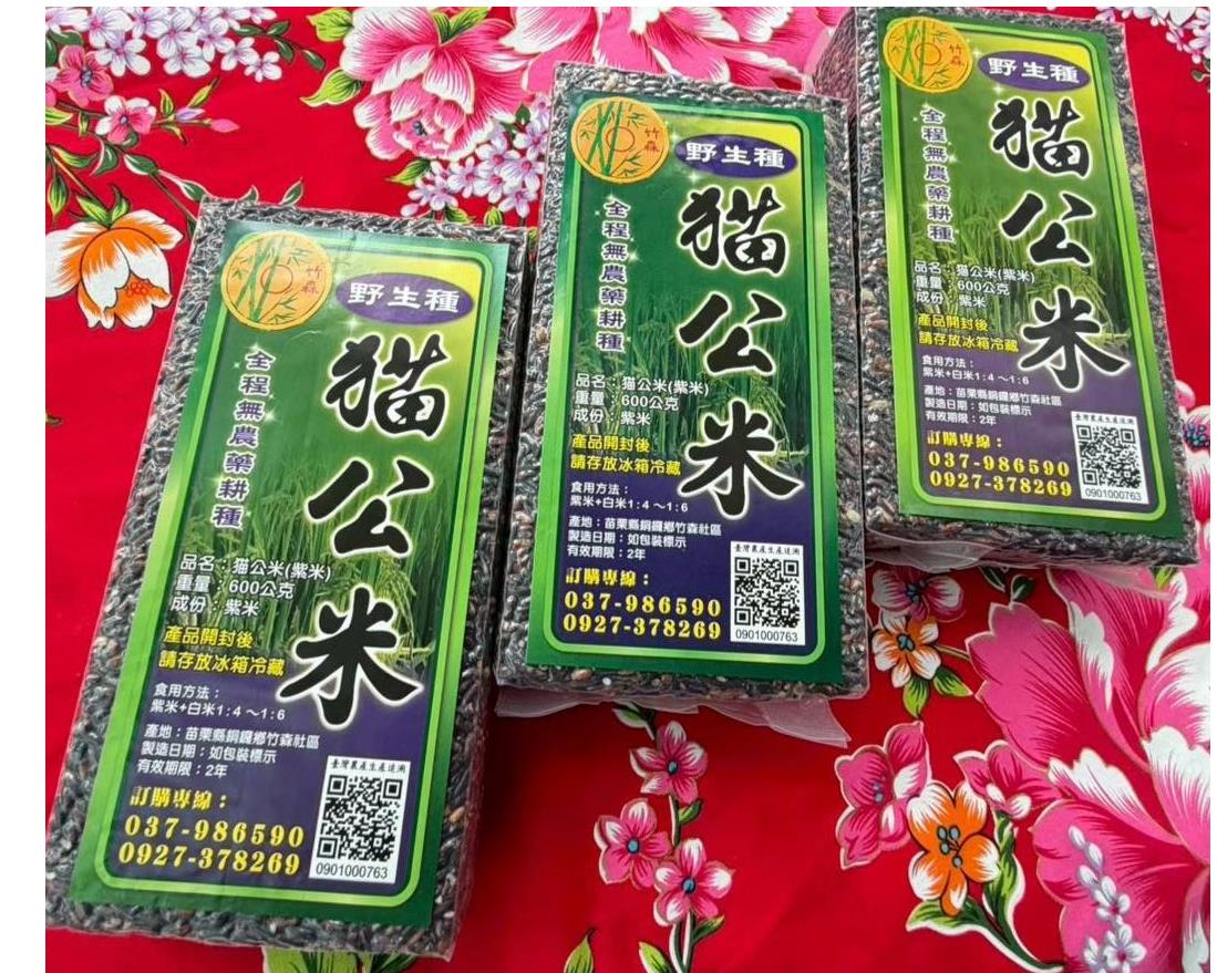 社會經濟入口網