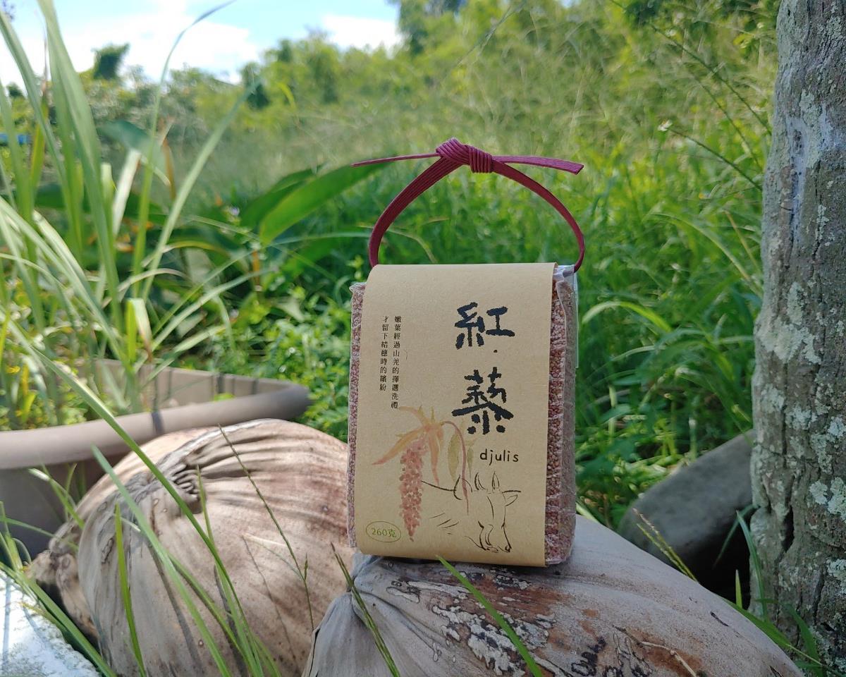 社會經濟入口網