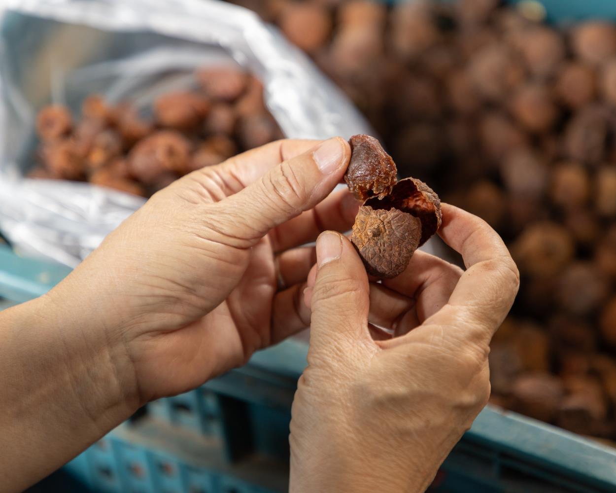 社會經濟入口網