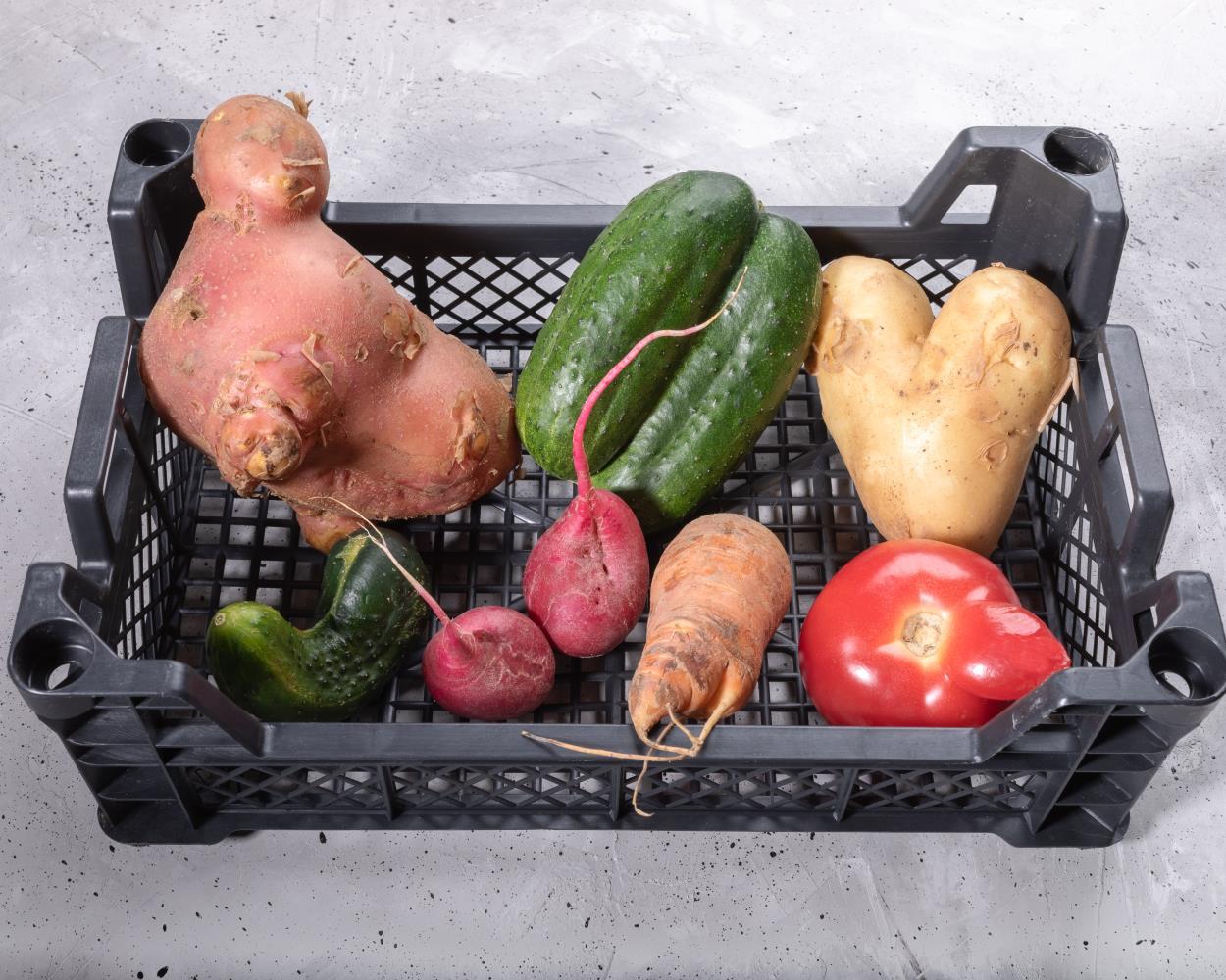 社會經濟入口網