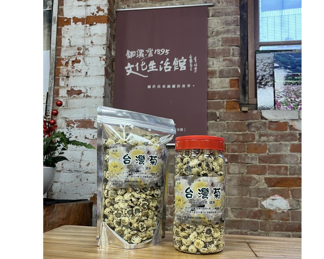 社會經濟入口網