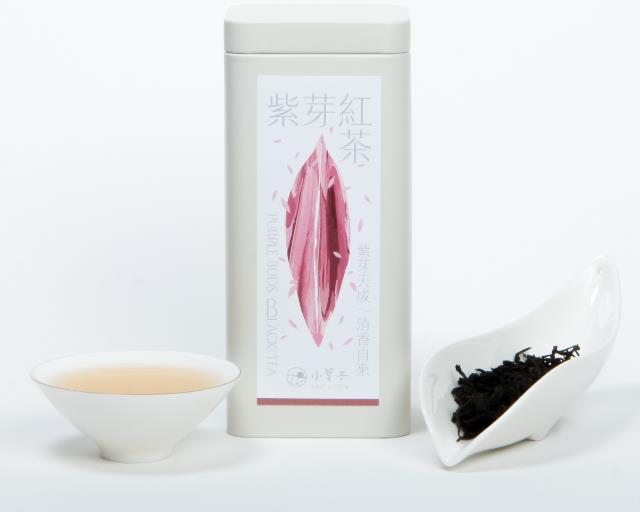 社會經濟入口網