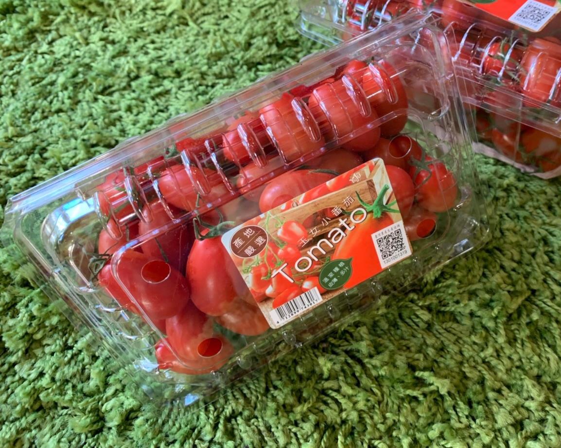 社會經濟入口網