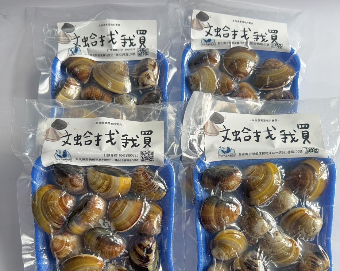 社會經濟入口網