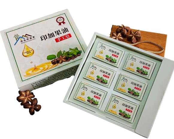 社會經濟入口網