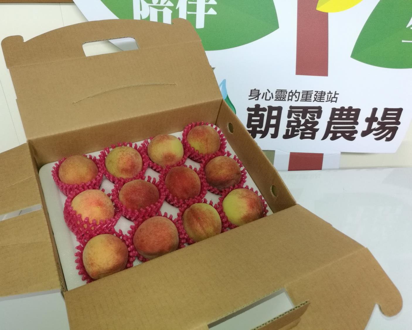 社會經濟入口網