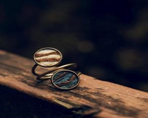 社會經濟入口網