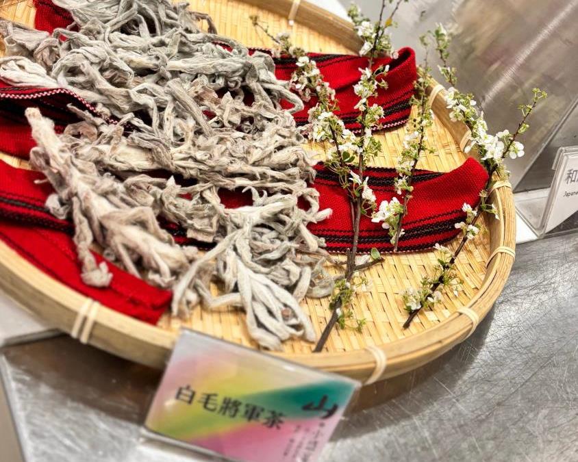 社會經濟入口網