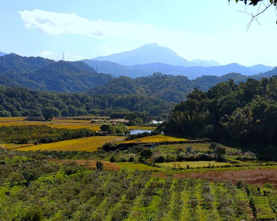 社會經濟入口網