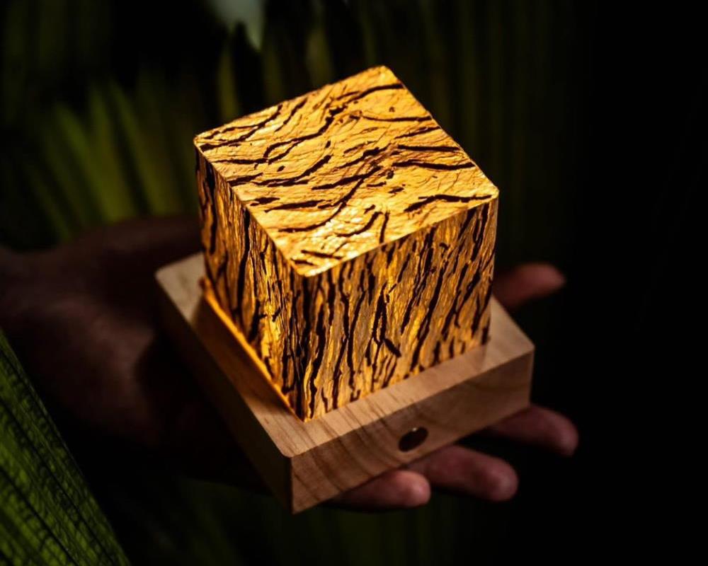 社會經濟入口網