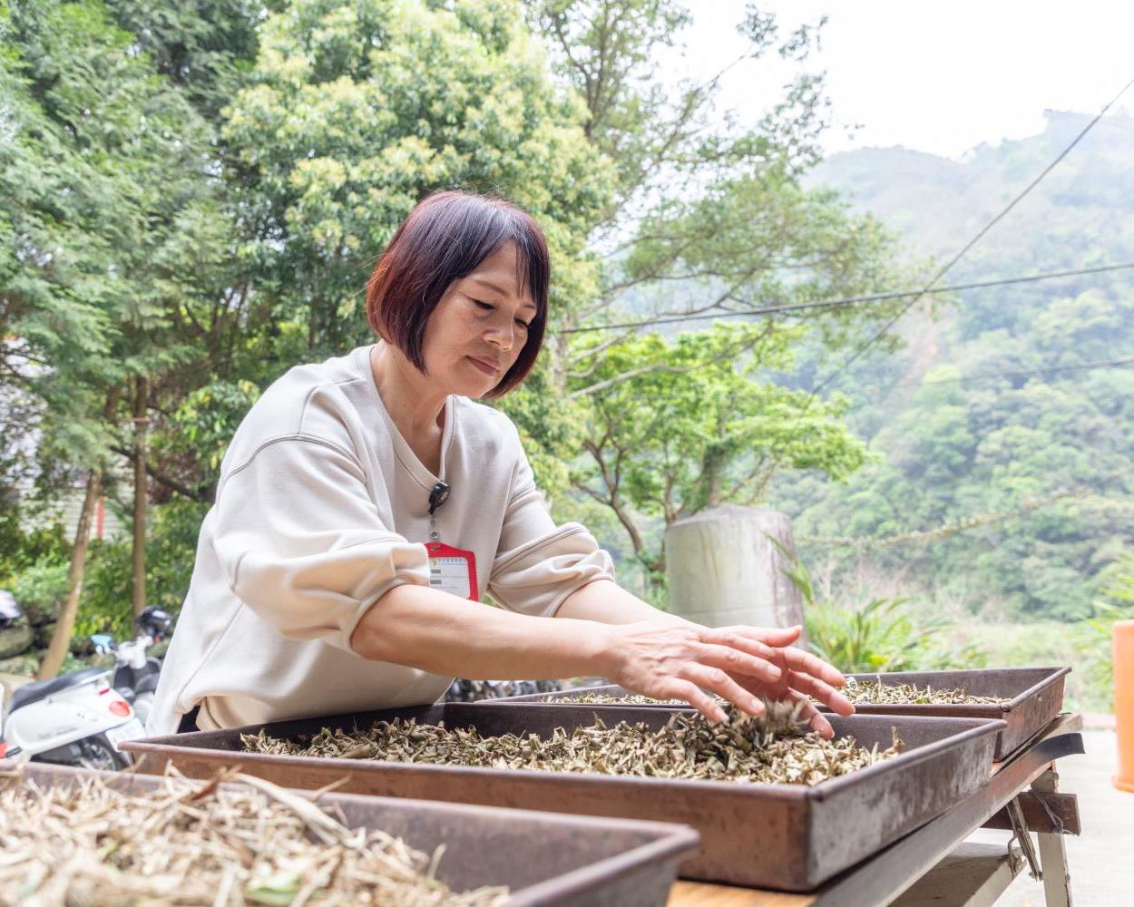 社會經濟入口網