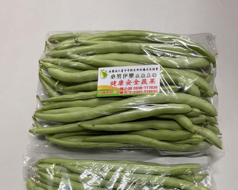 社會經濟入口網