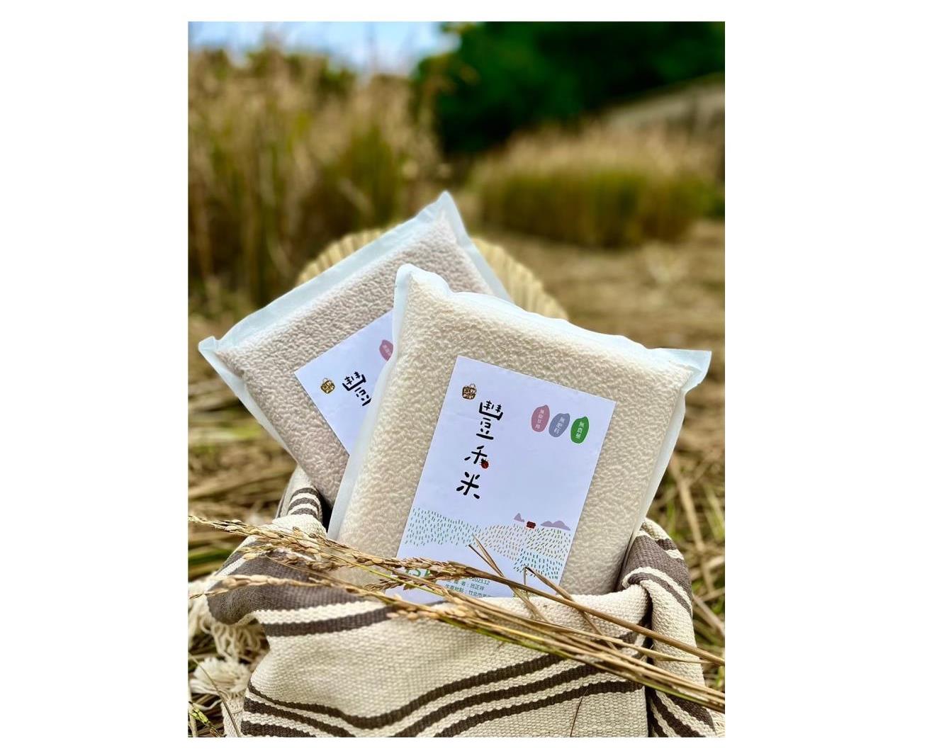 社會經濟入口網