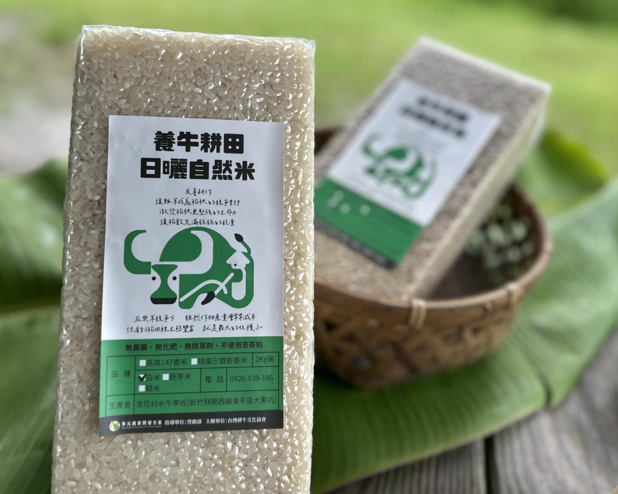 社會經濟入口網