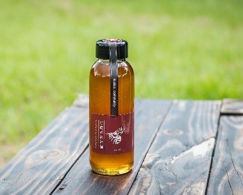 社會經濟入口網