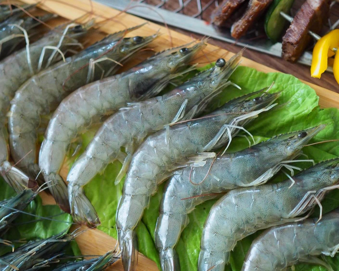 社會經濟入口網