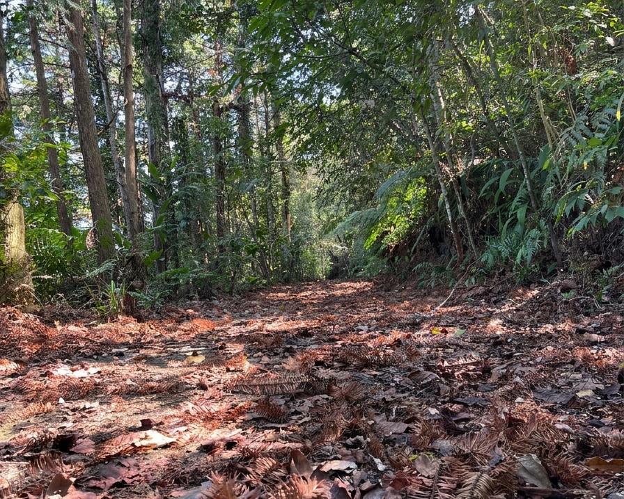 社會經濟入口網