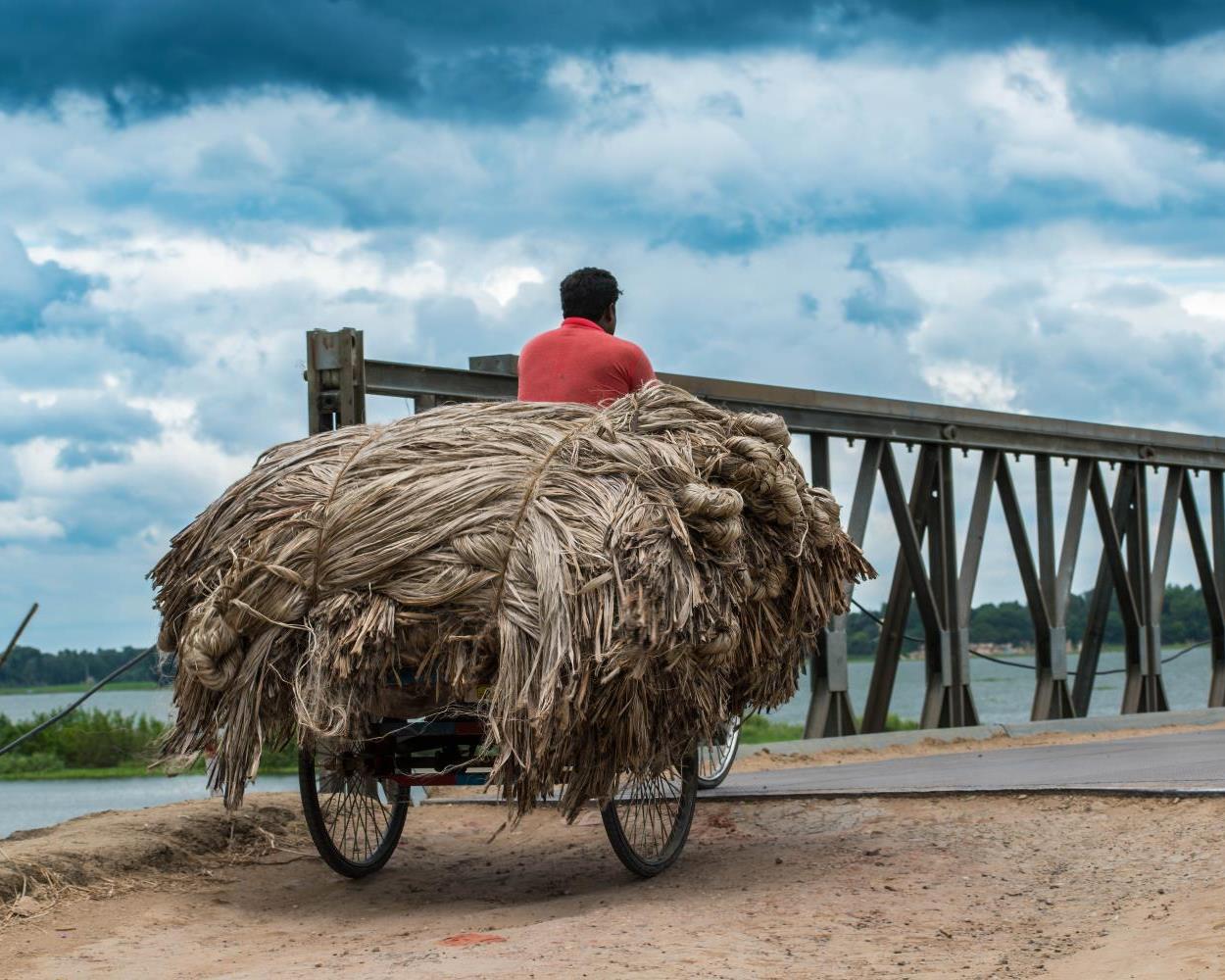 社會經濟入口網