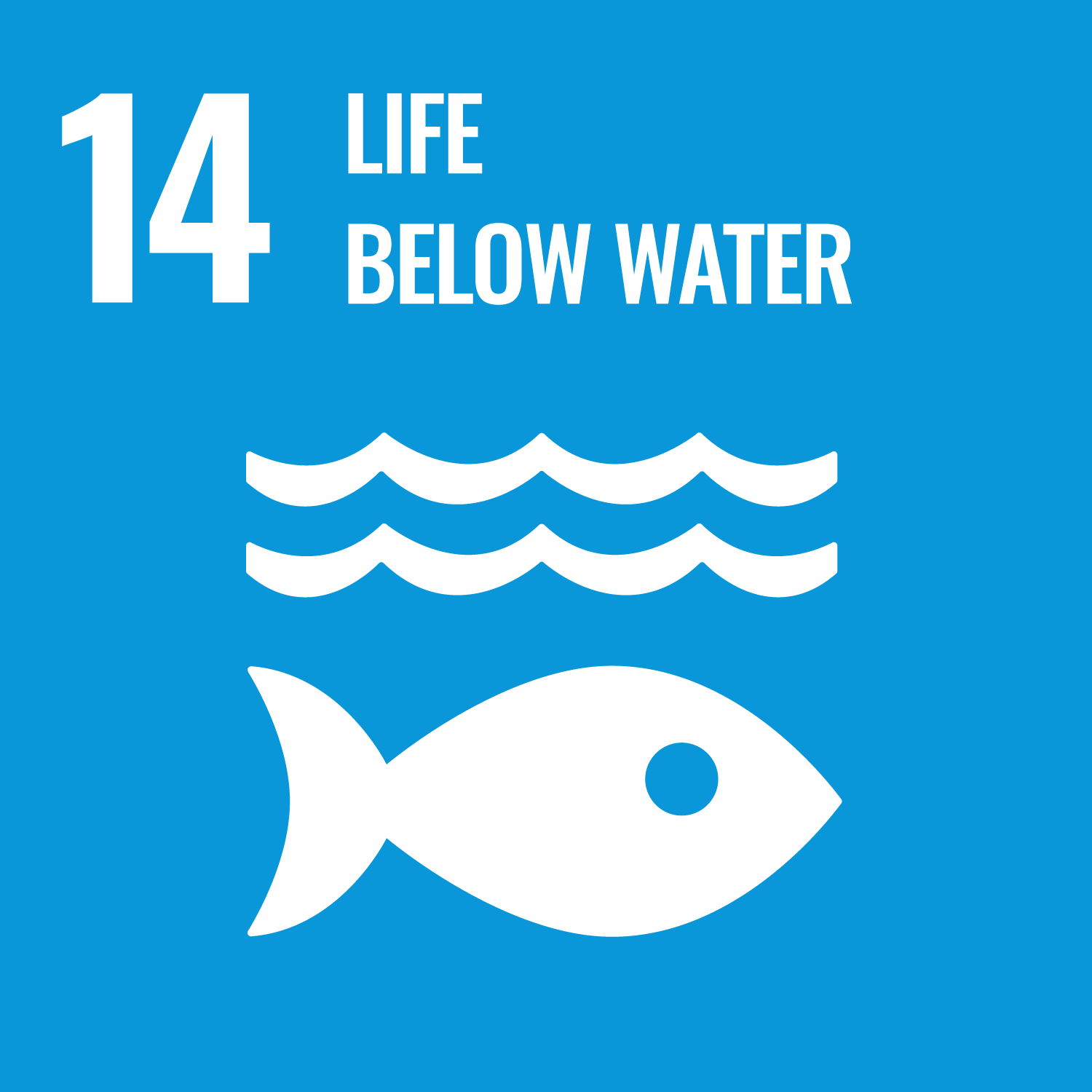 Conserve and sustainably use the oceans, seas and marine resources for sustainable development.