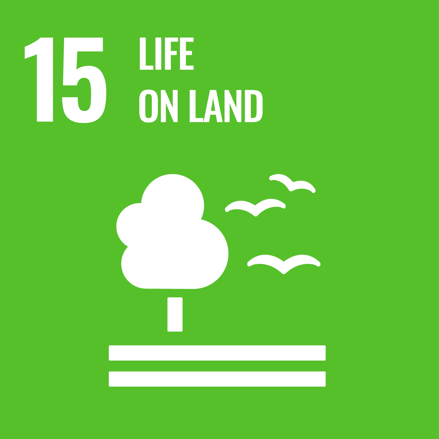 Protect, restore and promote sustainable use of terrestrial ecosystems, sustainably manage forests, combat desertification, and halt and reverse land degradation and halt biodiversity loss.