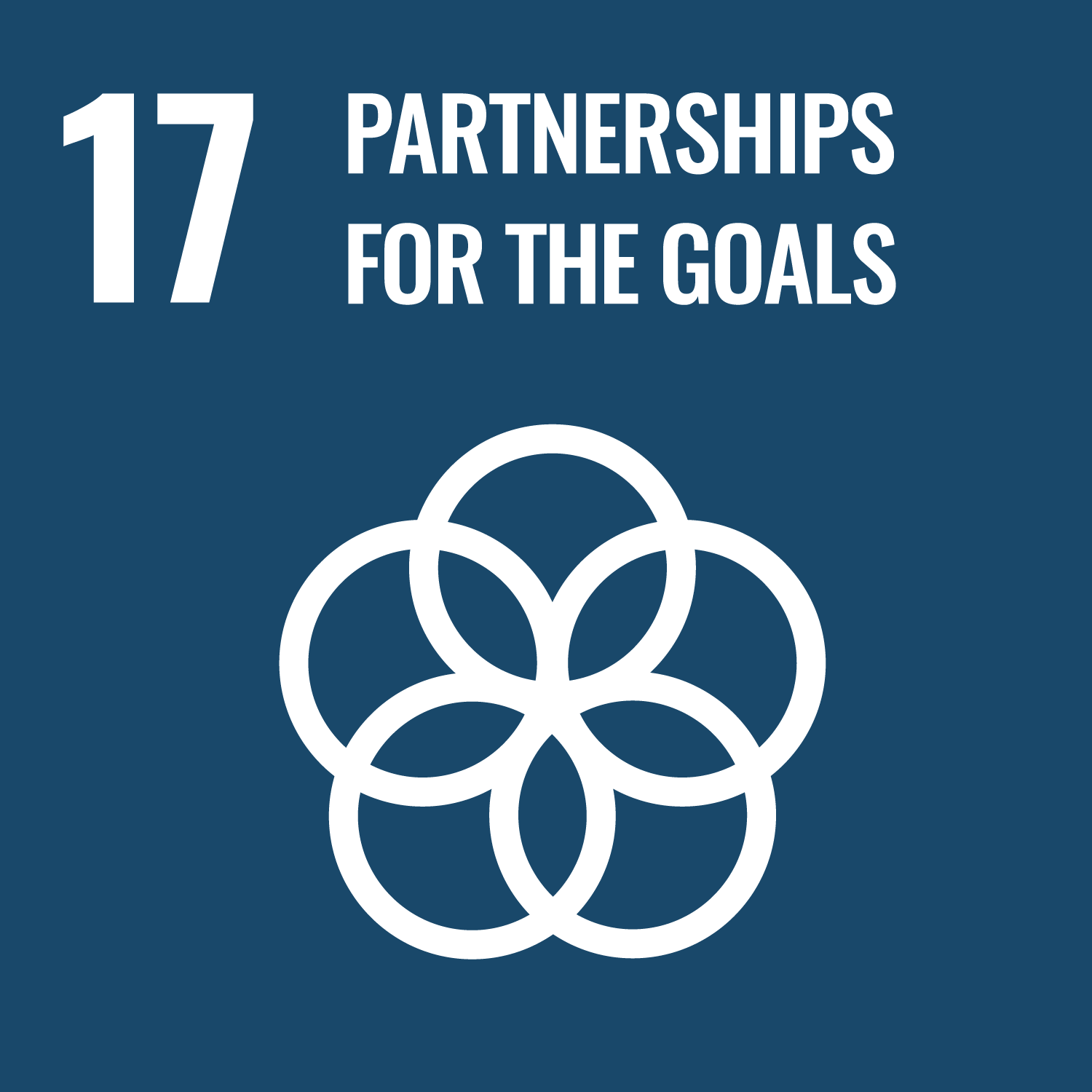 Strengthen the means of implementation and revitalize the global partnership for sustainable development.