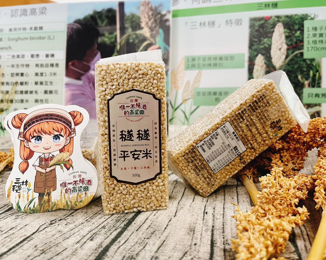 社會經濟入口網