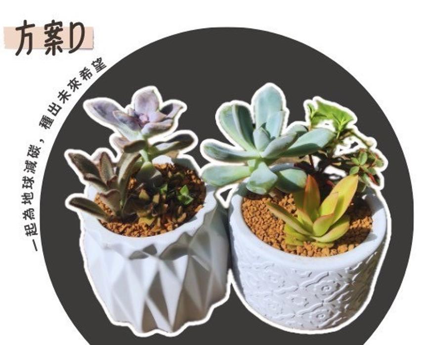 社會經濟入口網