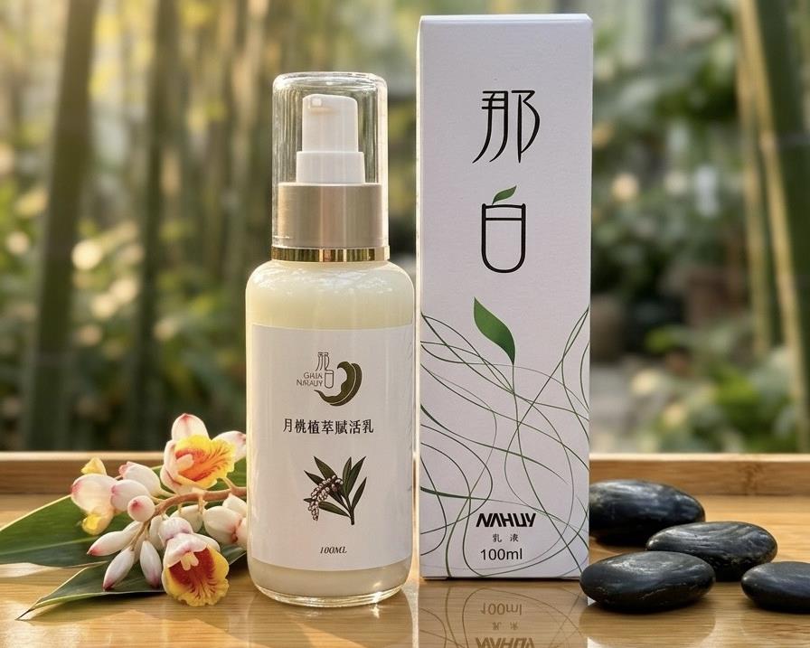 社會經濟入口網