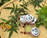 社會經濟入口網