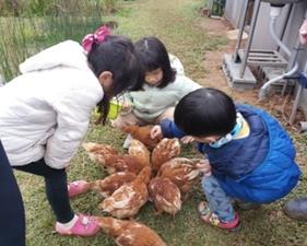 社會經濟入口網