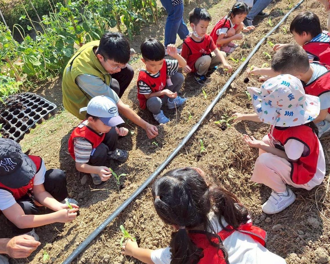 社會經濟入口網