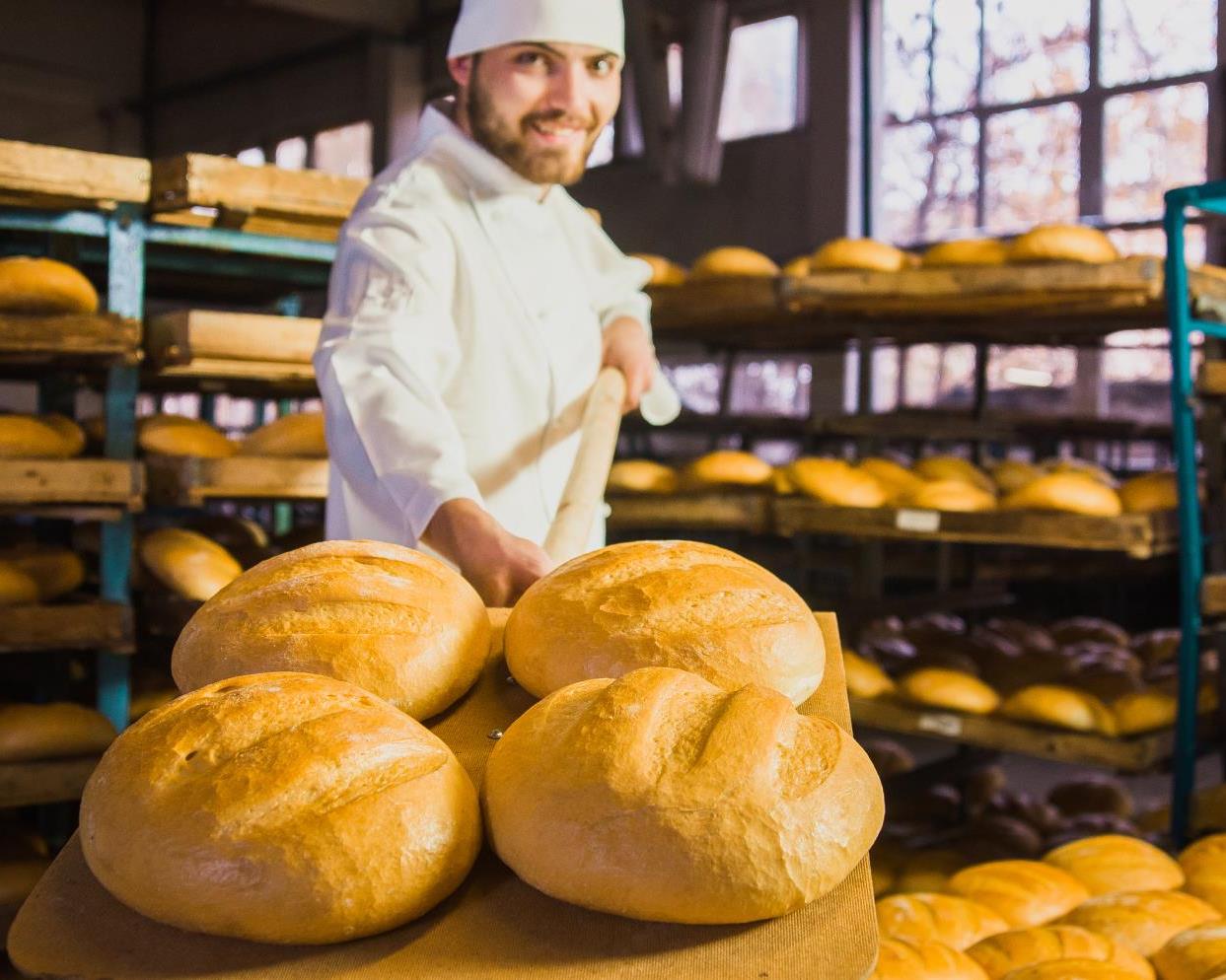 社會經濟入口網