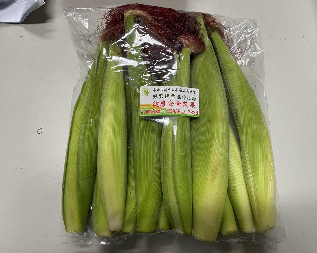 社會經濟入口網